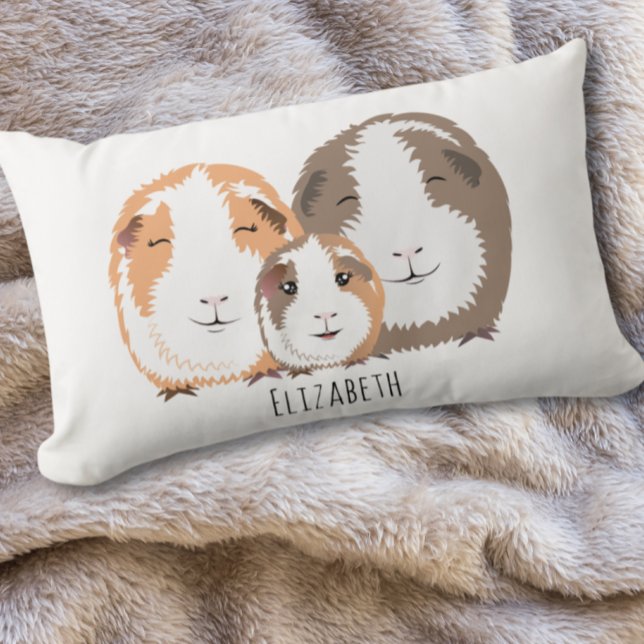 Niedliche Guinea Lendenkissen (Von Creator hochgeladen)