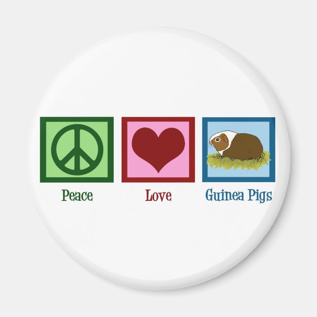 Niedliche Guinea Magnet (Vorne)