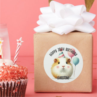 Niedliche Guinea Pig Birthday Party bevorzugt Runder Aufkleber