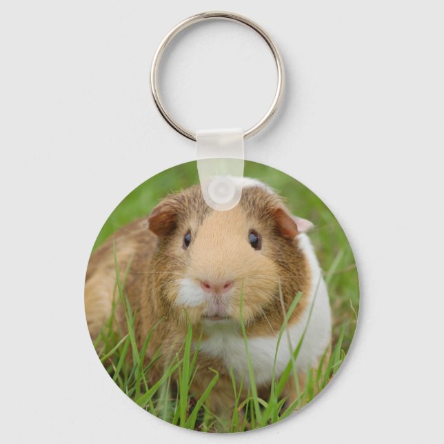 Niedliche Guinea Schlüsselanhänger (Vorderseite)