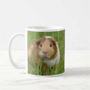 Niedliche Guinea Schwein im Gras Kaffeetasse