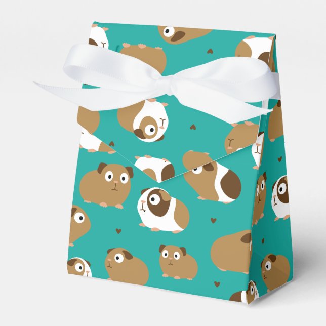 Niedliche Guinea Schweine Gefälligkeitsbox Geschenkschachtel (Vorderseite)