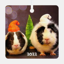 Niedliche Guinea Schweine in einer Weihnachtsmannm