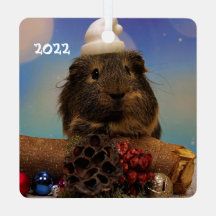 Niedliche Guinea Schweine in Weihnachtsmannmütze