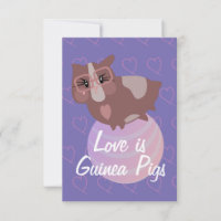 Niedliche Guinea Schweine