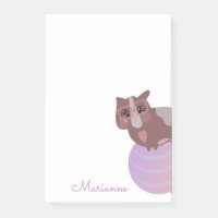 Niedliche Guinea Schweineball