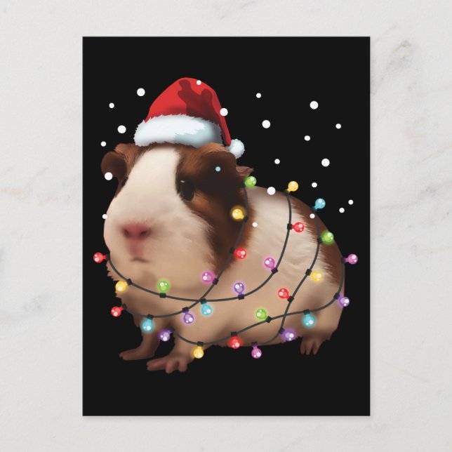 Niedliche Guinea Schweinefleisch, Schweinefilet We Postkarte (Vorderseite)