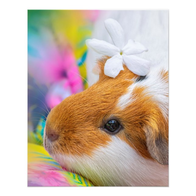 Niedliche Guinea Schweinepest Fotodruck (Vorne)