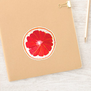 Niedliche handbemalte Pink Grapefruit Pop Art Aufkleber