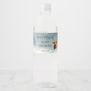 Niedliche Hochland-Kuh-Winter-Babydusche