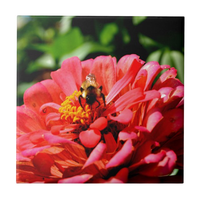 Niedliche Hummel aus roter Koralle Fliese (Vorderseite)