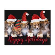 Niedliche Hunde Happy Holidays Weihnachten