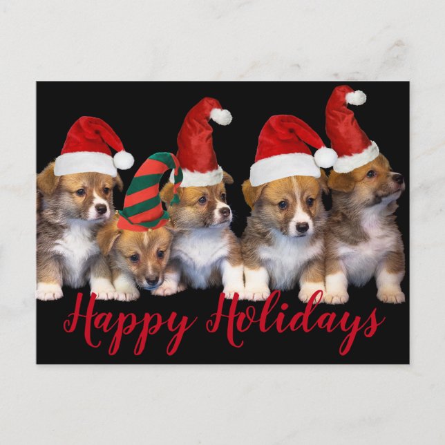 Niedliche Hunde Happy Holidays Weihnachten Postkarte (Vorderseite)