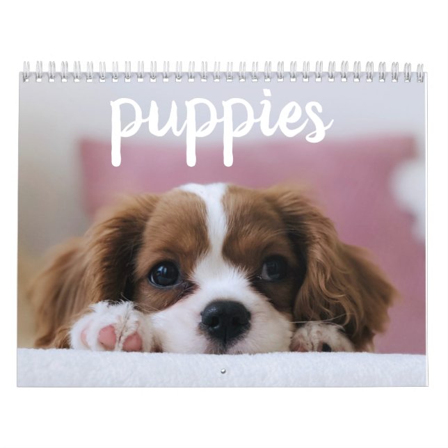 Niedliche Hunde Kalender (Titelbild)