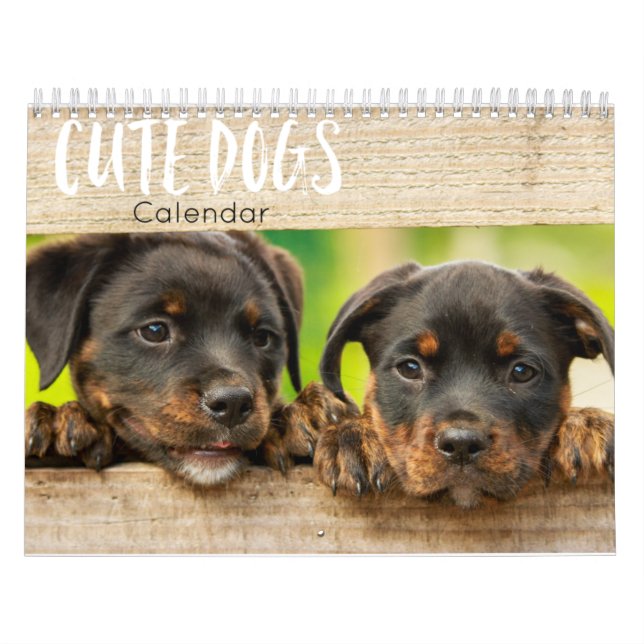 niedliche Hunde - Kalender 2023 (Titelbild)
