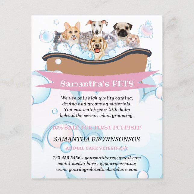 Niedliche Hunde Katzen Wellness-Center Sitter Groo Flyer (Vorne)