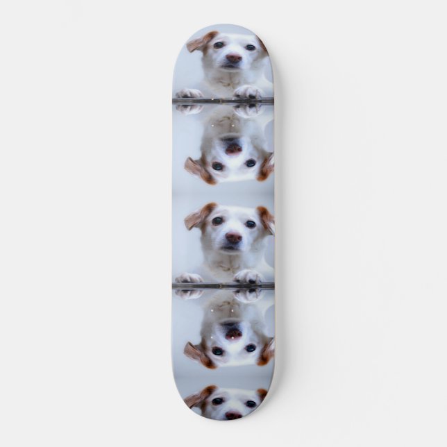 Niedliche Hunde Skateboard (Vorderseite)