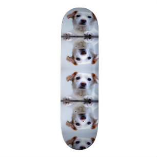 Niedliche Hunde Skateboard