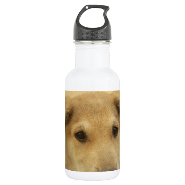 Niedliche Hunde und Welpen Mans Second Best Friend Edelstahlflasche (Vorderseite)