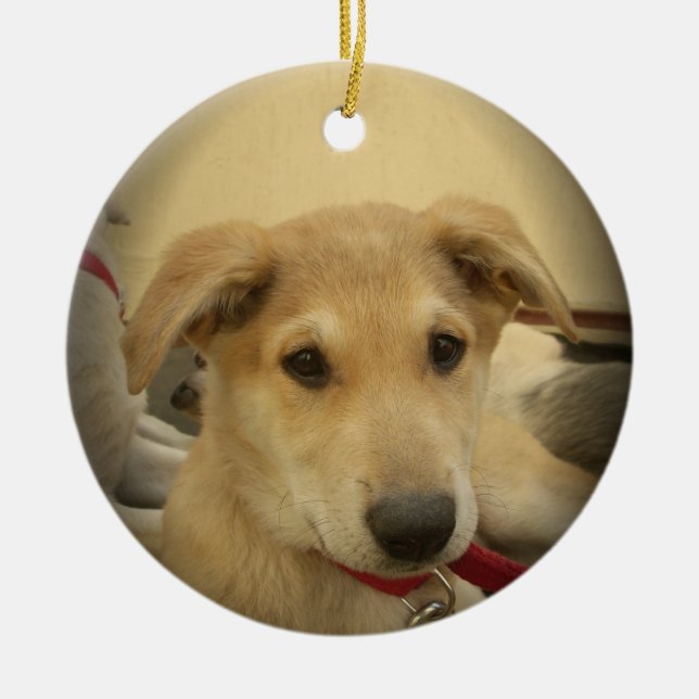 Niedliche Hunde und Welpen Mans Second Best Friend Keramikornament (Vorne)