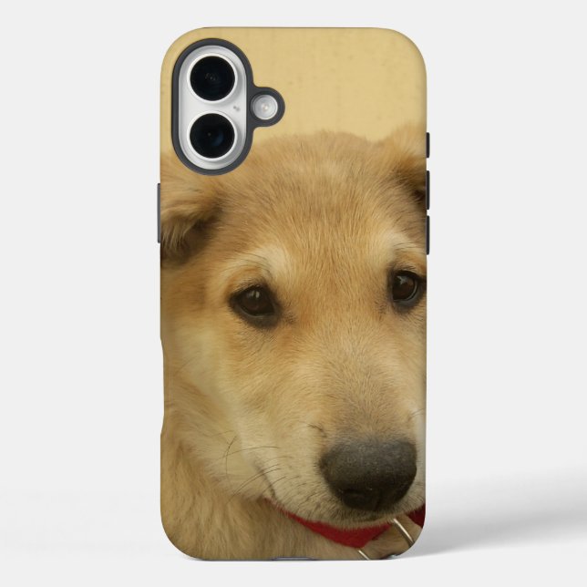Niedliche Hunde und Welpen Mans zweitbeste Freundi iPhone 16 Plus Hülle (Rückseite)
