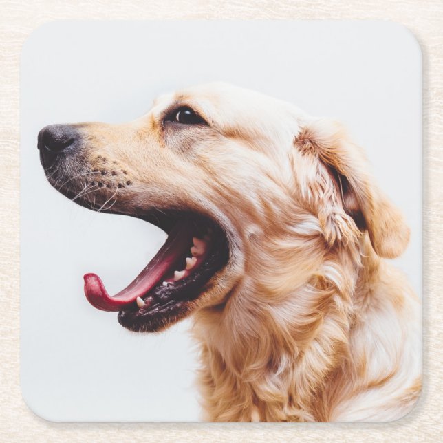 Niedliche Hunde Untersetzer 1 (Vorderseite)
