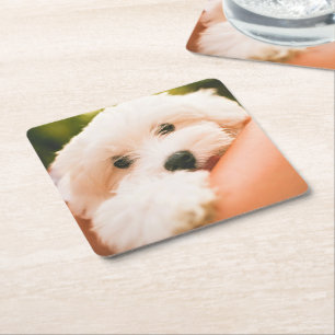 Niedliche Hunde Untersetzer 2