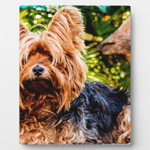 Niedliche Hundehaustier Yorkie Fotoplatte