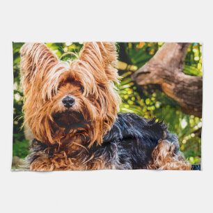 Niedliche Hundehaustier Yorkie Handtuch