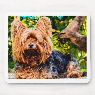 Niedliche Hundehaustier Yorkie Mousepad