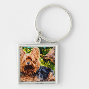 Niedliche Hundehaustier Yorkie Schlüsselanhänger