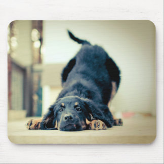 Niedliche Hundemausunterlage Mousepad