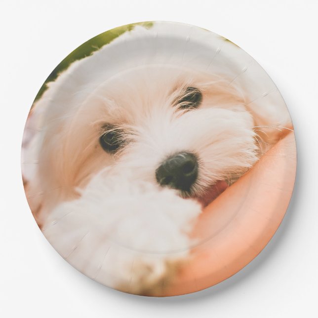 Niedliche Hundepapier-Teller 2 Pappteller (Vorderseite)