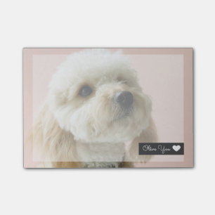 Niedliche Hundeüberlagerungs-Post-Itanmerkungen Post-it Klebezettel