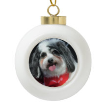 Niedliche Hundeweihnachtsverzierung, Schal K-Cee