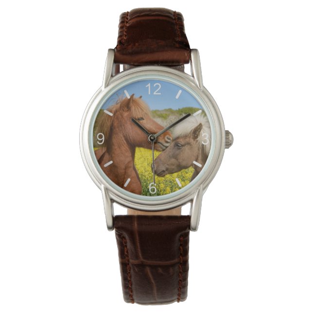Niedliche isländische Pferde in einer Frühlingswie Armbanduhr (Vorderseite)