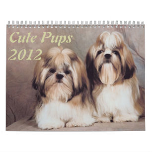 Niedliche Jungtiere 2012 Kalender