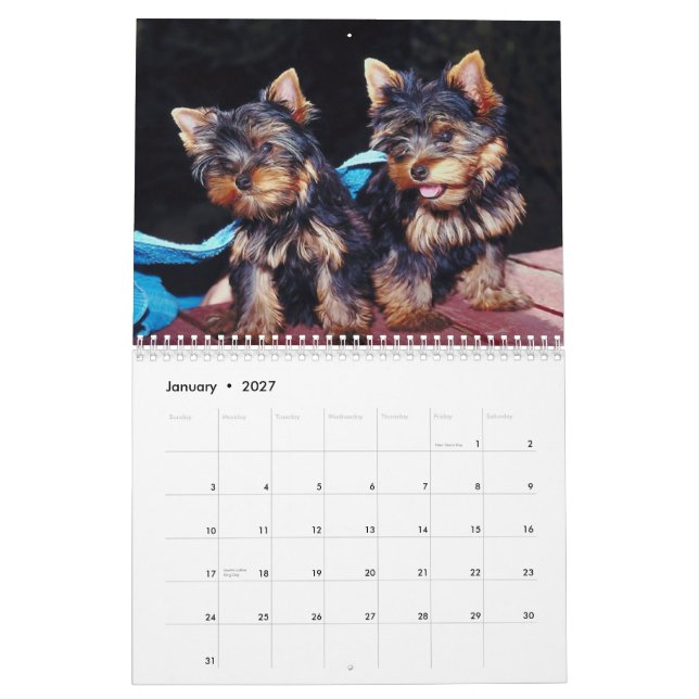 Niedliche Jungtiere 2012 Kalender (Jan 2027)