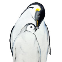 Niedliche Kaiserpinguinfamilie T - Shirt