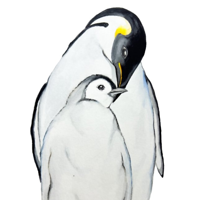 Niedliche Kaiserpinguinfamilie T - Shirt (Von Creator hochgeladen)