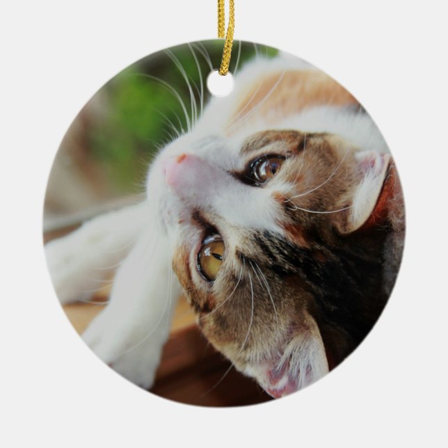 Niedliche Kaliko-Kätzchen-Weihnachtsverzierung Keramikornament (Vorne)