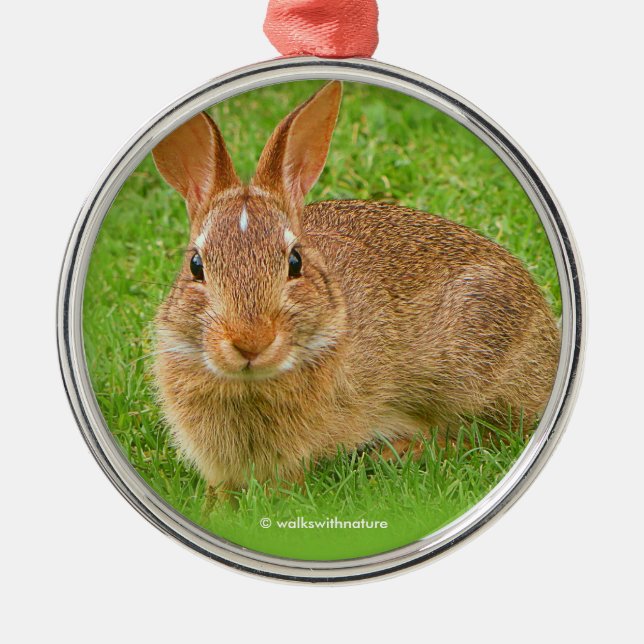 Niedliche Kaninchen Grüntöne auf der Golfbahn Ornament Aus Metall (Vorne)