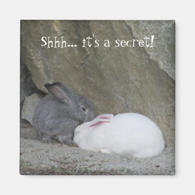 Niedliche Kaninchen mit Sprichwort Magnet (Vorne)