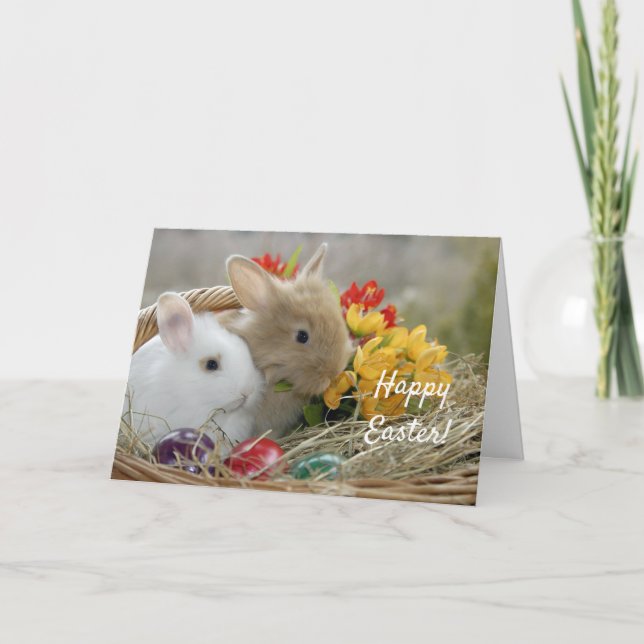 Niedliche Kaninchen Ostern Feiertagskarte (Vorderseite)