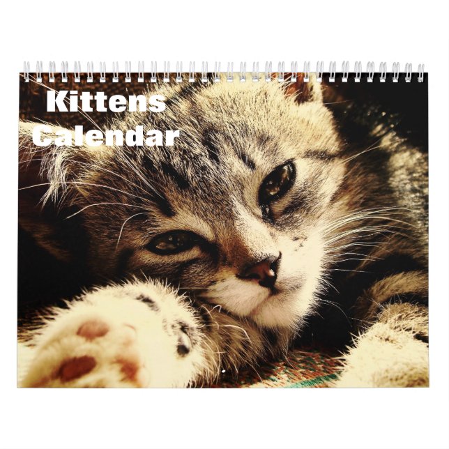 Niedliche Kätzchen 2025 Kalender (Titelbild)