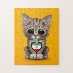 Niedliche Kätzchen-Katze mit dem iranischen