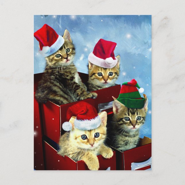 Niedliche Kätzchen mit Weihnachtshüten Postkarte (Vorderseite)