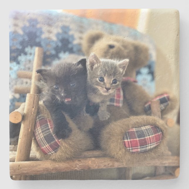 Niedliche Kätzchen ohne Bären - Merlin und Guineve Steinuntersetzer (Vorderseite)