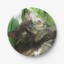 Niedliche Kätzchen Pappteller