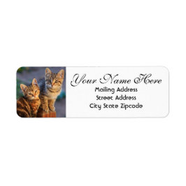 Niedliche Kätzchen Rücksendeadresse